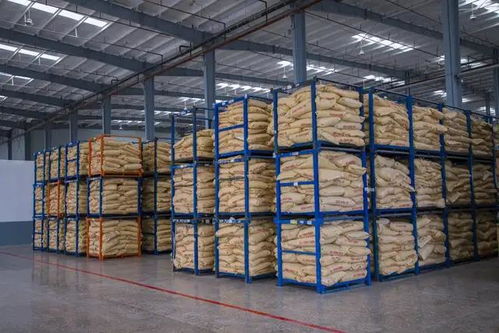 湖北省委書記一行考察卓寶石首生產(chǎn)基地，聚焦建筑材料產(chǎn)業(yè)高質(zhì)量發(fā)展